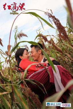 红高粱 在线观看,激情燃烧的岁月,民族抗争的史诗 第1张 红高粱 在线观看,激情燃烧的岁月,民族抗争的史诗 第1张
